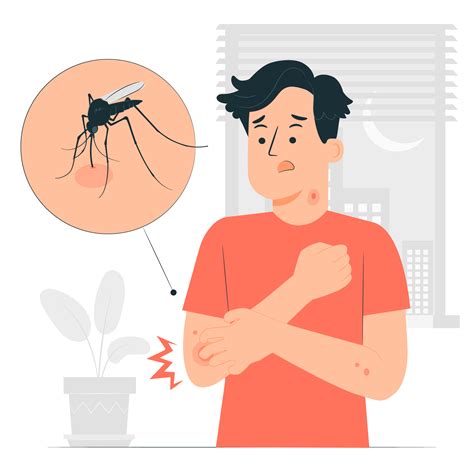 Dengue Fever Infographics. Template Design Of Details Dengue Fever And ...