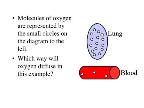 Diffusion 的图像结果