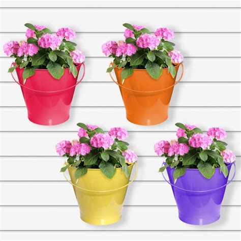 Wall Hanging Flower Pots | Wall Hanging Plant for Indoor | TrustBasket