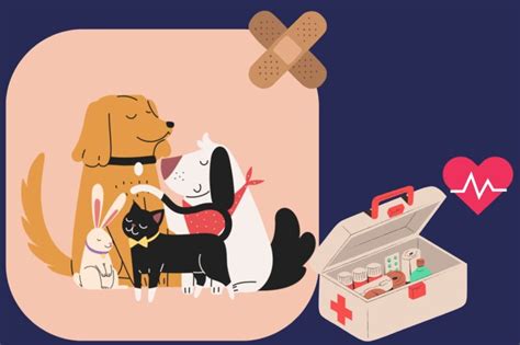 Image result for Basic First Aid for Pets