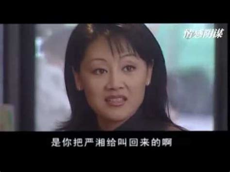 2000年经典电视剧《情感阴谋》第一集 （王姬高曙光） - YouTube