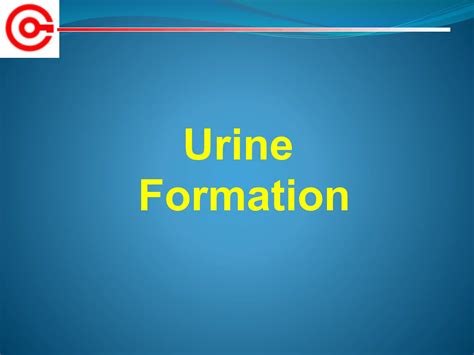 Urine-formation-ppt.pptx A powerpoint on the mechanism of urine production | PPTX