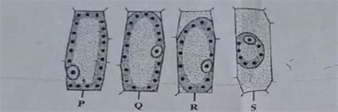 Observe the diagram and answer the following questions.i) Name and ...