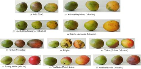 Image result for Computational Methods Table Computer Science