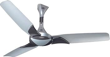Amazon.in: POLAR: Ceiling fan