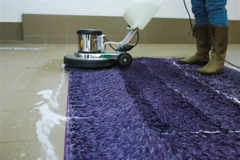 Dry Carpet Cleaner