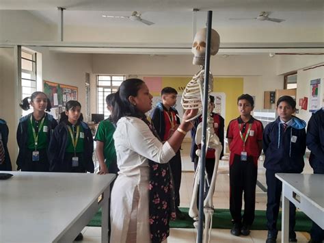 Grade 6 Science Skeletal System
