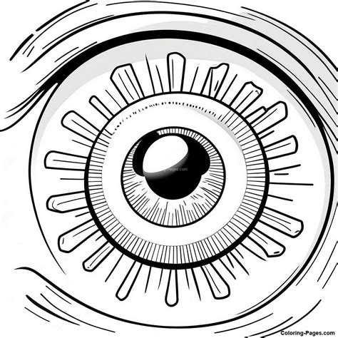 Realistic Eyeball Anatomy Coloring Page | Coloring-Pages.com