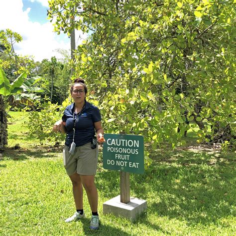 10 wonders of Fruit and Spice Park, a unique garden in Miami's Redland