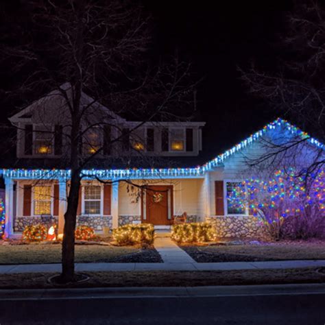 5 Amazing Lawn Care Tips to Keep Your Yard Beautiful Over Winter | Year ...