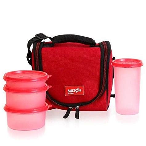 Buy MILTON Insulated Double Zipper Lunch Bag with Reusable and Leak ...
