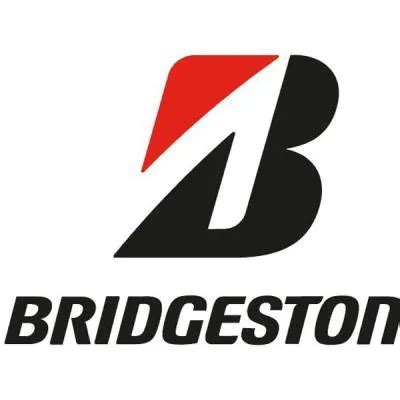 Bridgestone India Honours Idol Maker Rajan Patkar