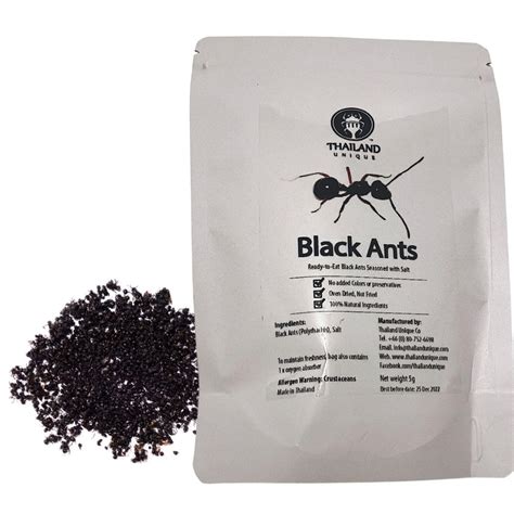 Amazon.com : Thailand Unique Black Ants Salted - 5 Gram Bag of ...
