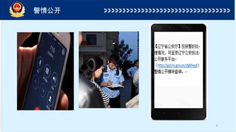 视频 | 重庆在全国率先推出刑事案件一码查询应用- 网络记者 -华龙网