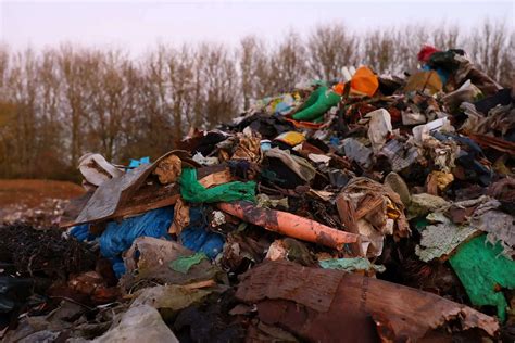 Americans can now pocket $2000 for spotting litter — the simple 2-step ...