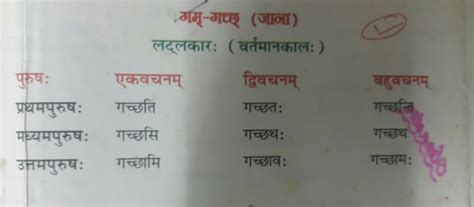 gam dhatu roop in 5 lakar - Brainly.in