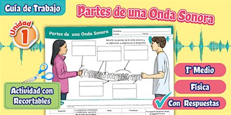 Guía | Trabajo |Partes | Onda | Sonora | I° Medio