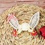 Image result for Easter Bunny Ears Headband