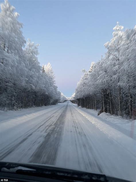 Lapland worker reveals what reindeer pizza tastes like - and if you ...