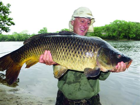 Tips For River Carp Fishing - what makes a good fishing
