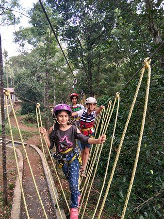 Grange TreeTop Adventure (Yercaud) - What to Know Before You Go (with ...