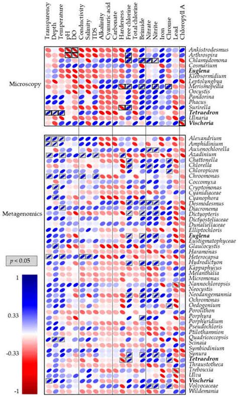 Eukaryotic Microalgae Communities from Tropical Karstic Freshwater ...