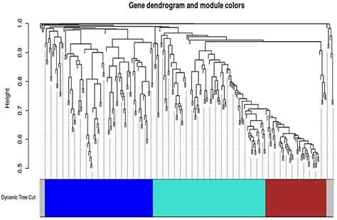 mRNA-lncRNA Co-Expression Network Analysis Reveals the Role of lncRNAs ...