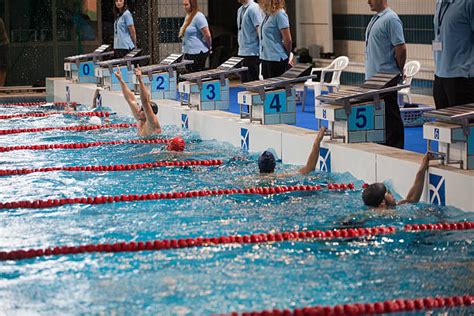 Cheer Team Swim 的图像结果