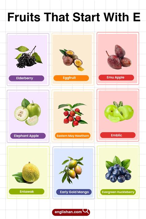 56 Fruits That Start With E in English