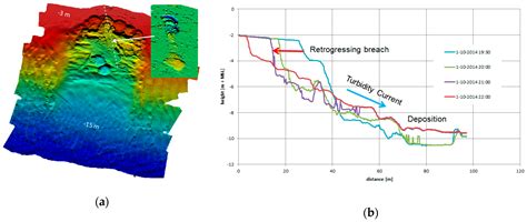 Watching the Beach Steadily Disappearing: The Evolution of ...