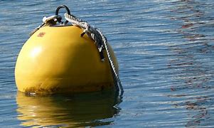 Image result for Buoy