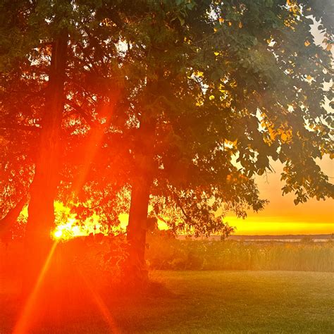 Aloha State Park Campground | Mullett Lake, Michigan