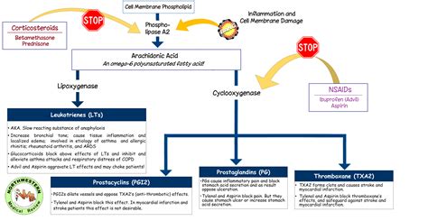 Tylenol, Advil, Aspirin, and Covid-19 - Northwestern Medical Review