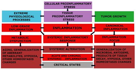Atherosclerosis and Inflammation: Insights from the Theory of General Pathological Processes