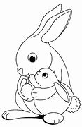 Image result for What Do Baby Bunnies Look Like