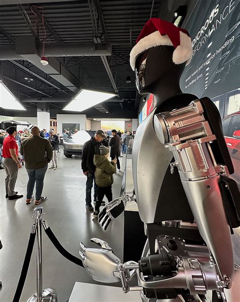 Tesla Robot 的图像结果