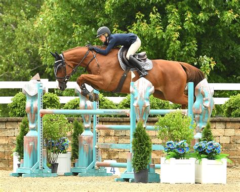 HITS Lamplight Equestrian Center - HITS Horse Shows