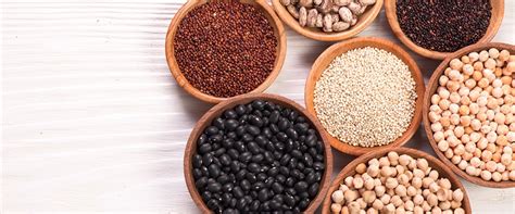 How To Choose The Right Protein Powder