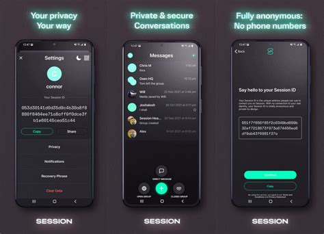 Session 的图像结果