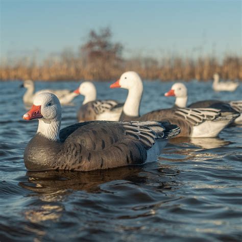 Blue Goose Floaters | Lifelike & Durable Waterfowl Decoys - Dive Bomb ...