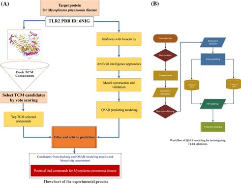 Psychological Experiments Flowchart 的图像结果