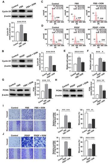 Inhibitory Effect of a Glutamine Antagonist on Proliferation and ...