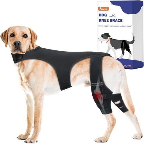 Amazon.com : Pawfun Dog Knee Brace for Hind Legs- Adjustable Dog Leg ...