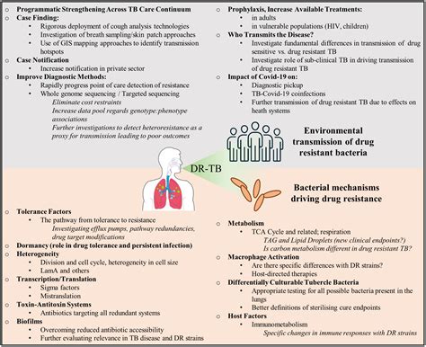 These are the Main Causes for Tuberculosis (TB) best pulmonologist in ...