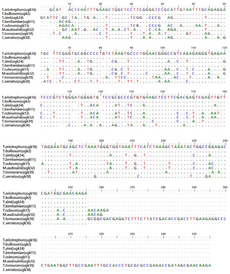 Molecular Characterisation and Phylogenetic Analysis of Dermatophytic ...