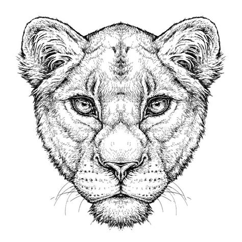 Image result for Algorithm Python Layout