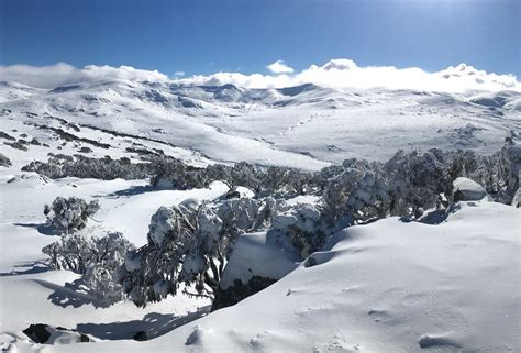CHARLOTTES PASS SNOW RESORT (2026) All You Need to Know BEFORE You Go ...
