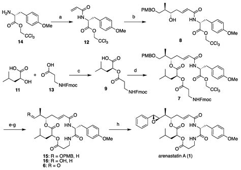 Concise and Stereospecific Total Synthesis of Arenastatin A and Its ...