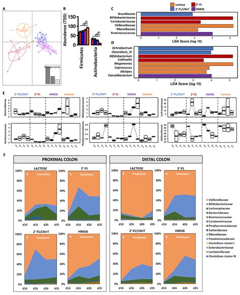 Human Milk Oligosaccharides and Lactose Differentially Affect Infant ...