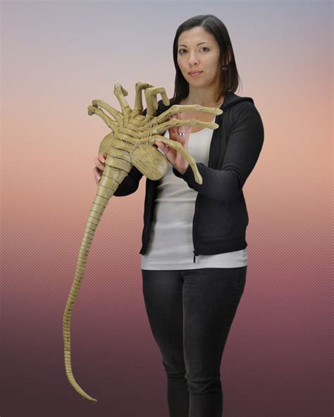 Image result for Alien Hugger Woman
